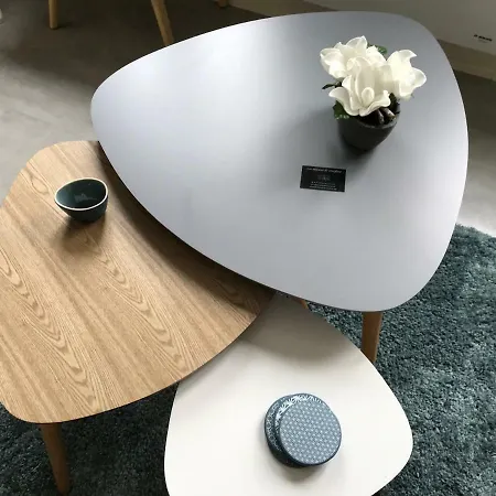 Charles Baudelaire أونفلور